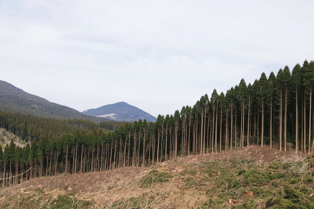 こだわりの三重県熊野産無垢材、使い道のあれこれ