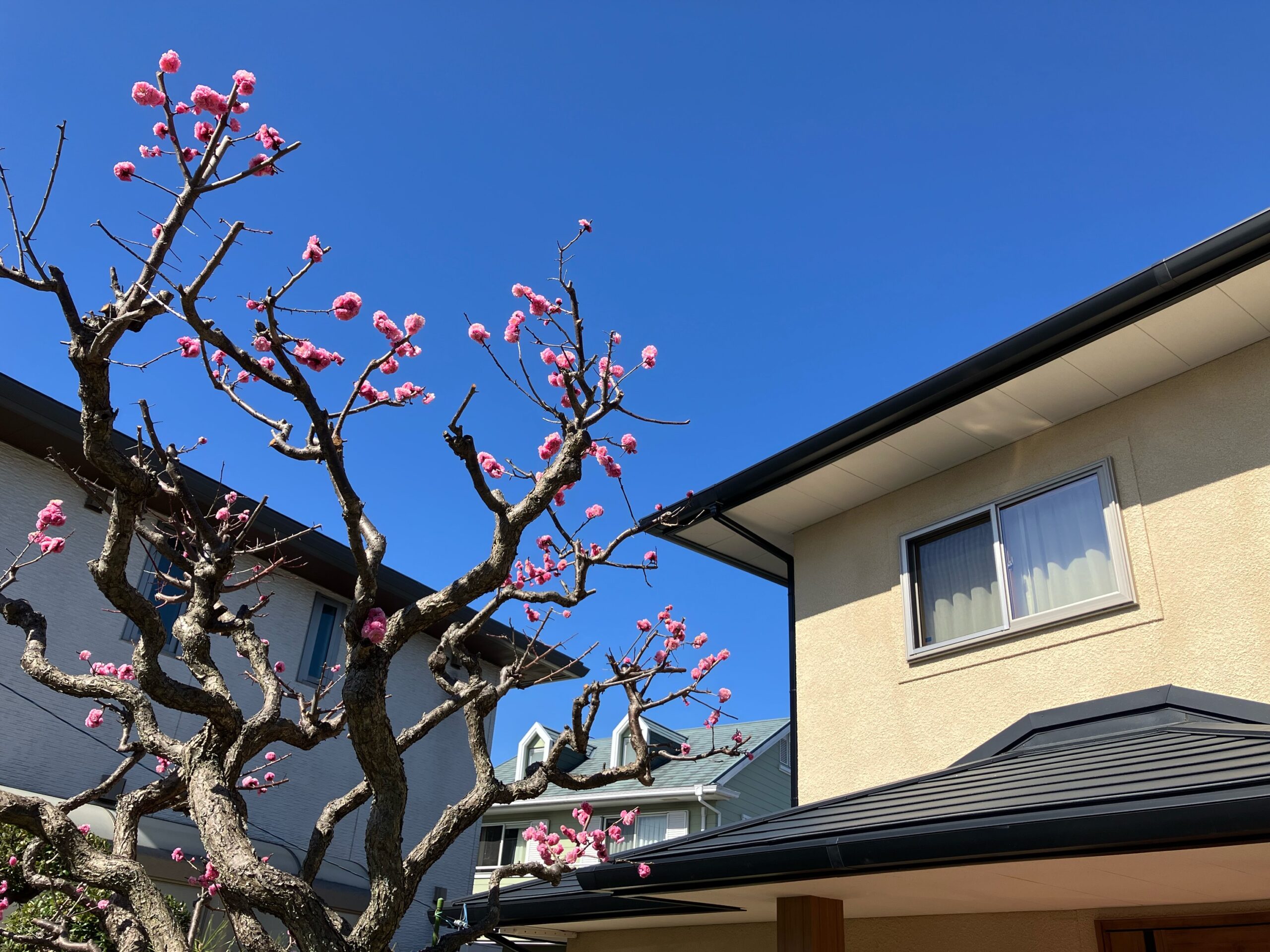 K様お引渡し式🌸